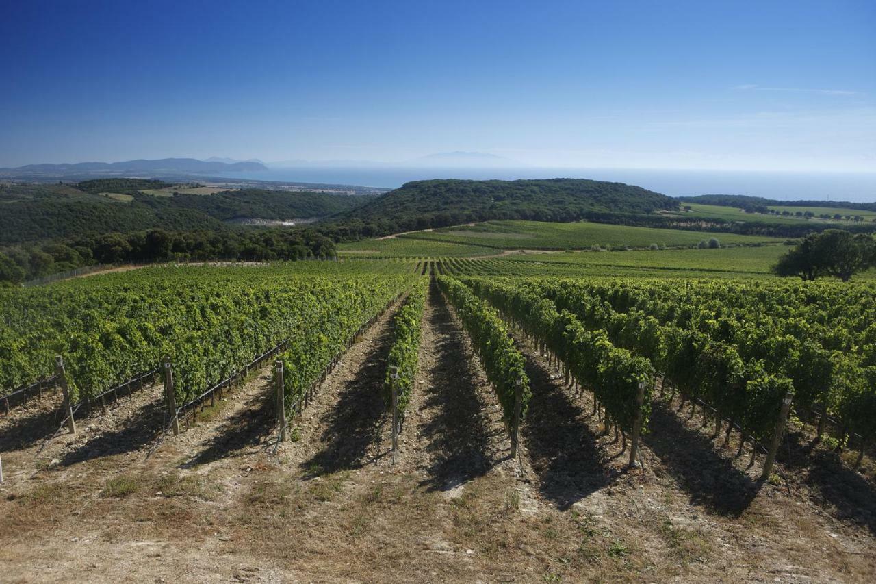 Il Castelluccio - By Bolgheri Holiday Villa มอนเตแวร์ดิ มาริตติโม ภายนอก รูปภาพ